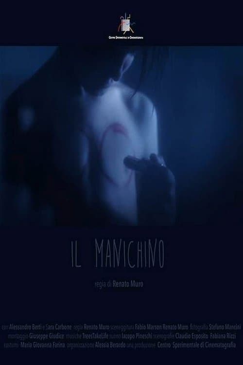 Il manichino poster