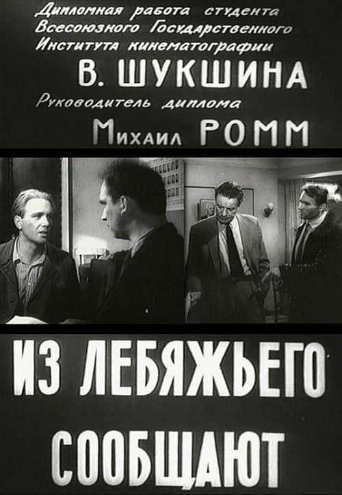 Из Лебяжьего сообщают poster