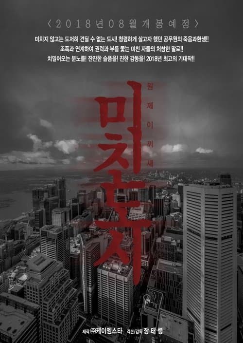 미친도시 poster