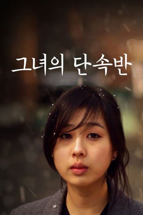 그녀의 단속반 poster