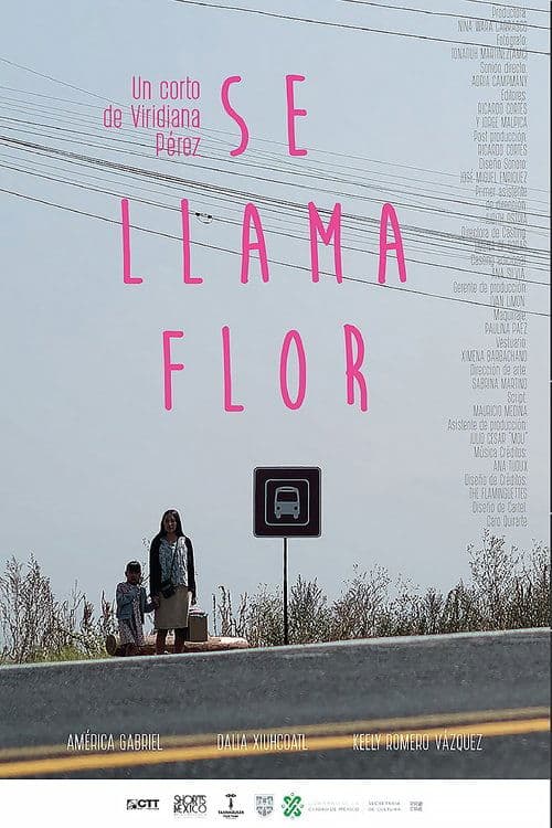 Se Llama Flor poster