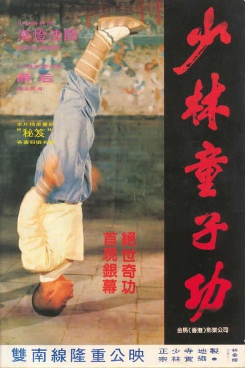 少林童子功 poster
