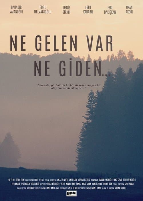 Ne Gelen Var Ne Giden... poster