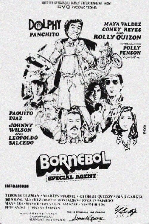 Bornebol: Special Agent poster