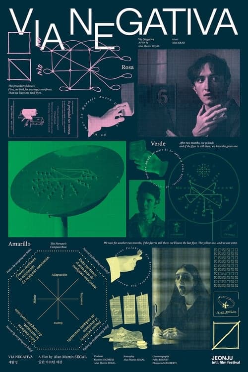Vía negativa poster
