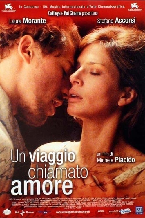 Un viaggio chiamato amore poster