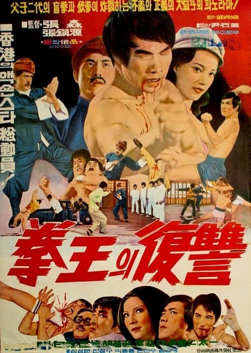 盲拳 poster