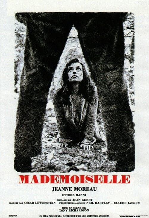 Mademoiselle poster