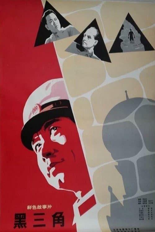 黑三角 poster