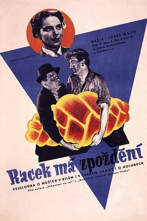 Racek má zpoždění poster