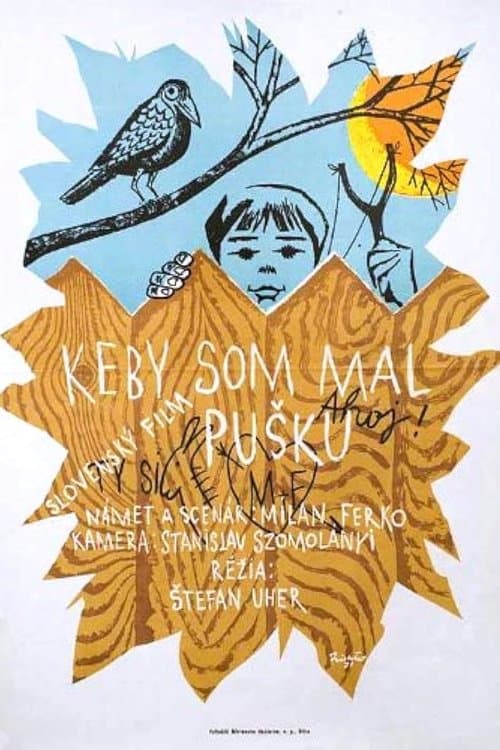Keby som mal pušku poster
