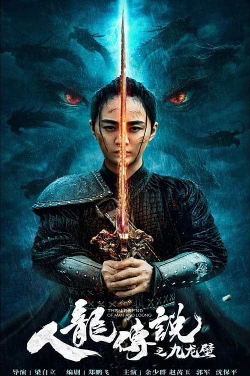 人龙传说之九龙壁 poster