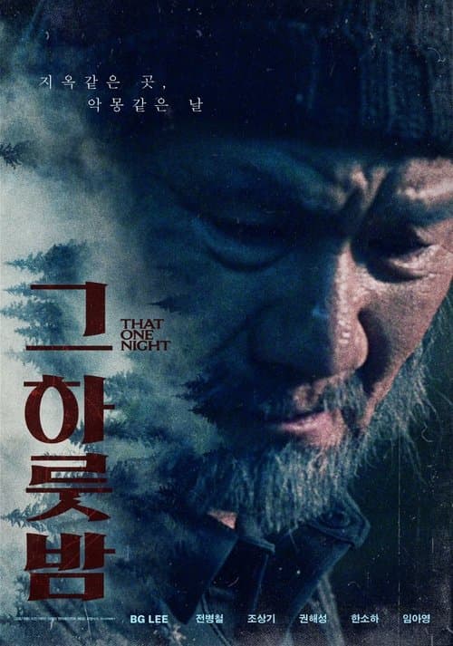 그 하룻밤 poster