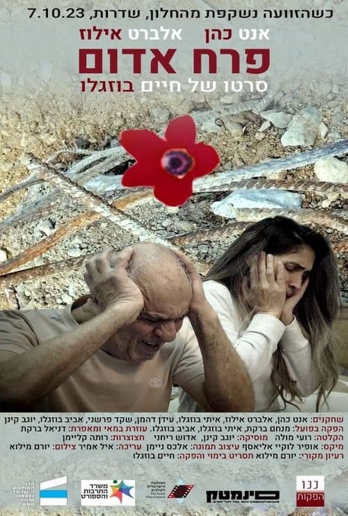 פרח אדום poster