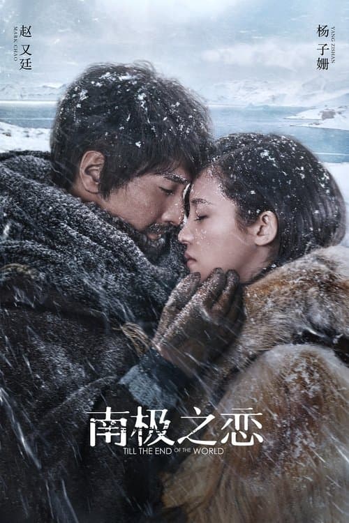 南极之恋 poster
