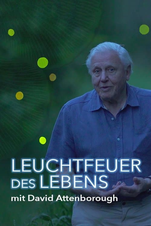 Leuchtfeuer des Lebens poster