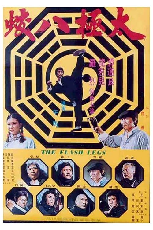 太極八蛟 poster