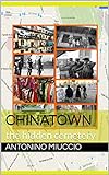 Chinatown: the hidden cemetery (The investigations by Commissioner Sarti Book 3) (English Edition)