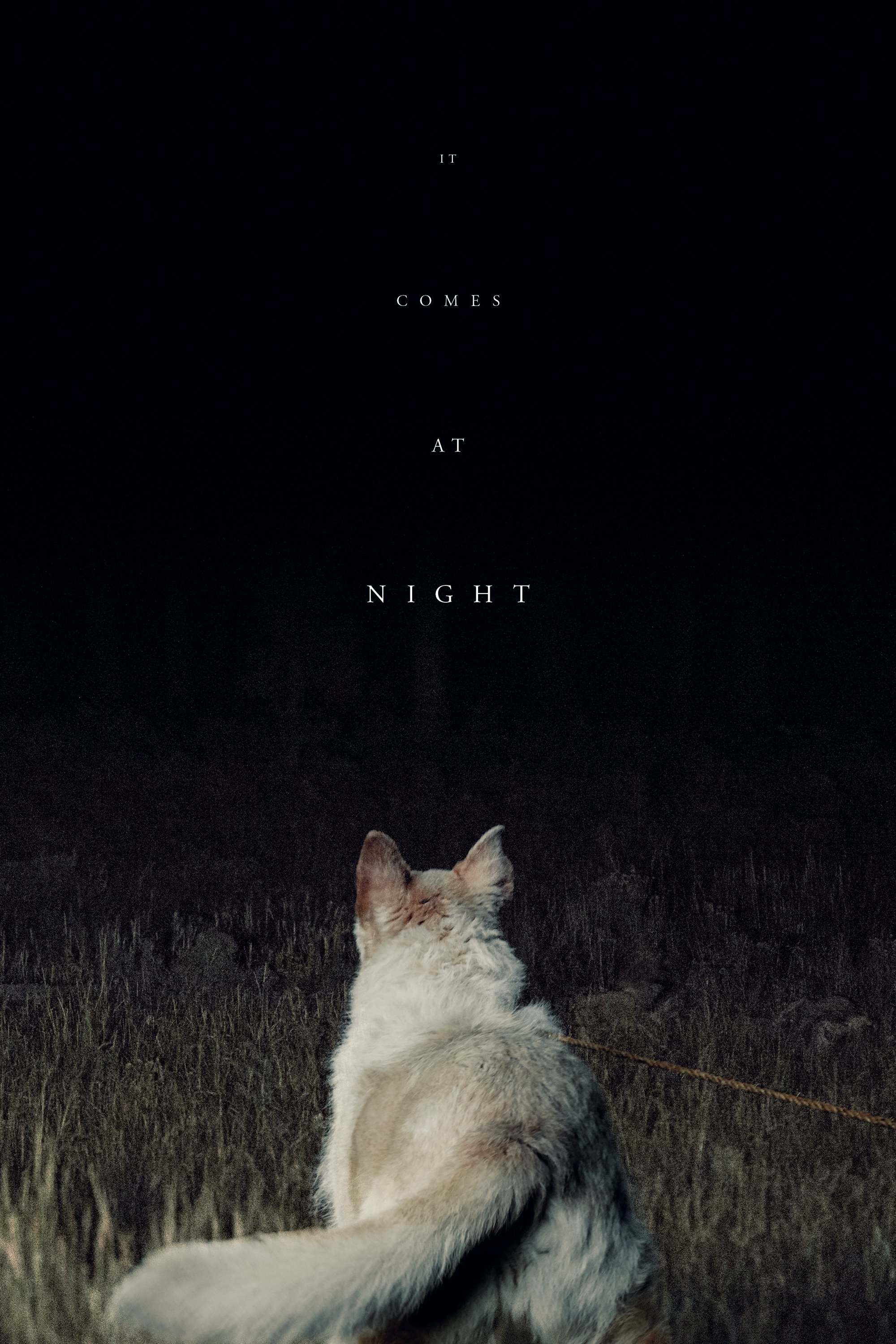 Plakat von "It Comes at Night"