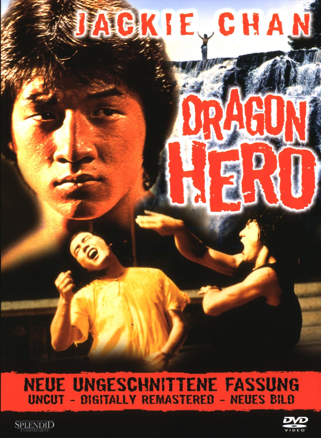 Plakat von "Dragon Hero"