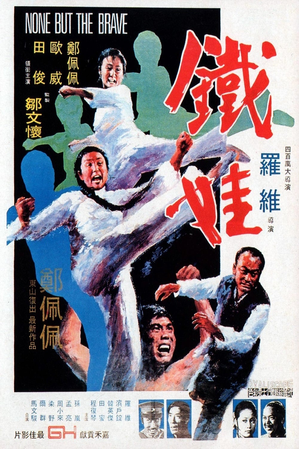 Plakat von "Kung Fu Girl"