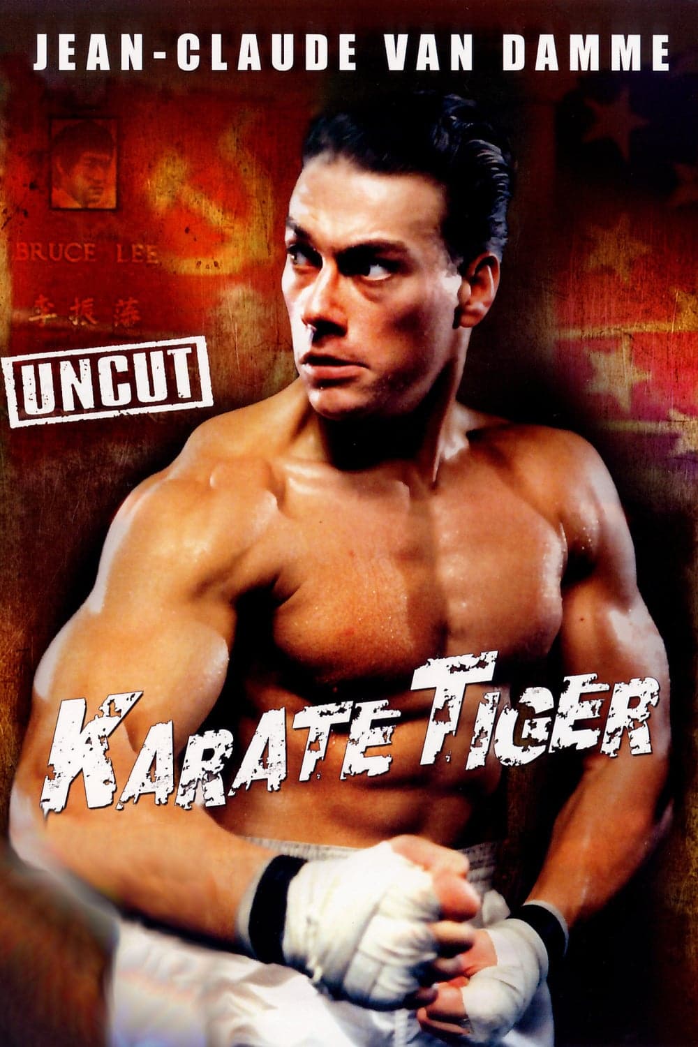 Plakat von "Karate Tiger"