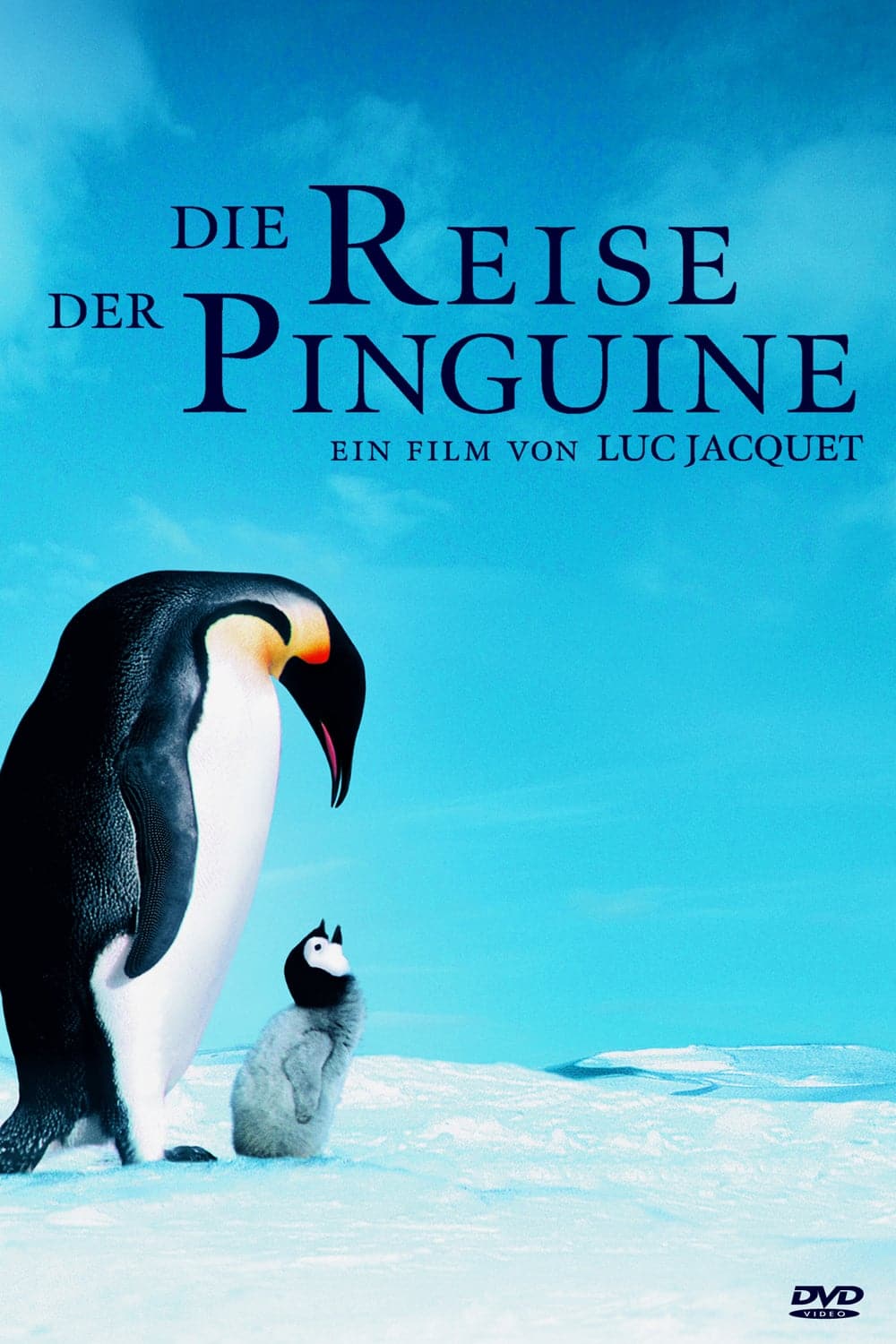 Plakat von "Die Reise der Pinguine"