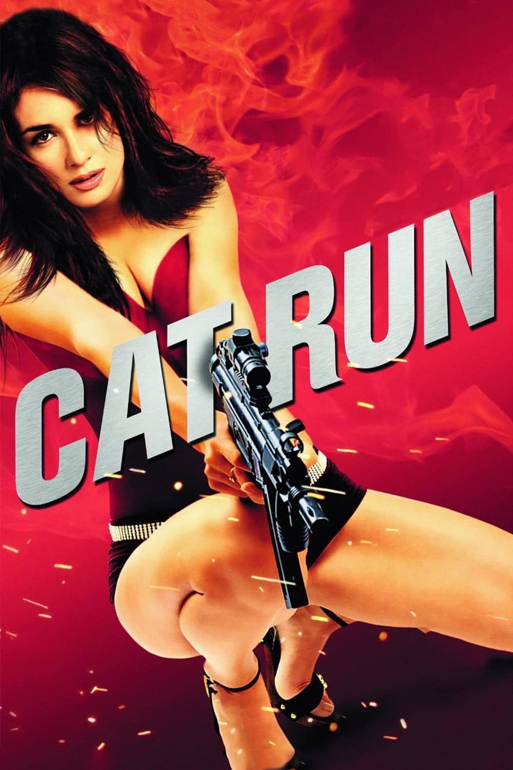 Plakat von "Cat Run"