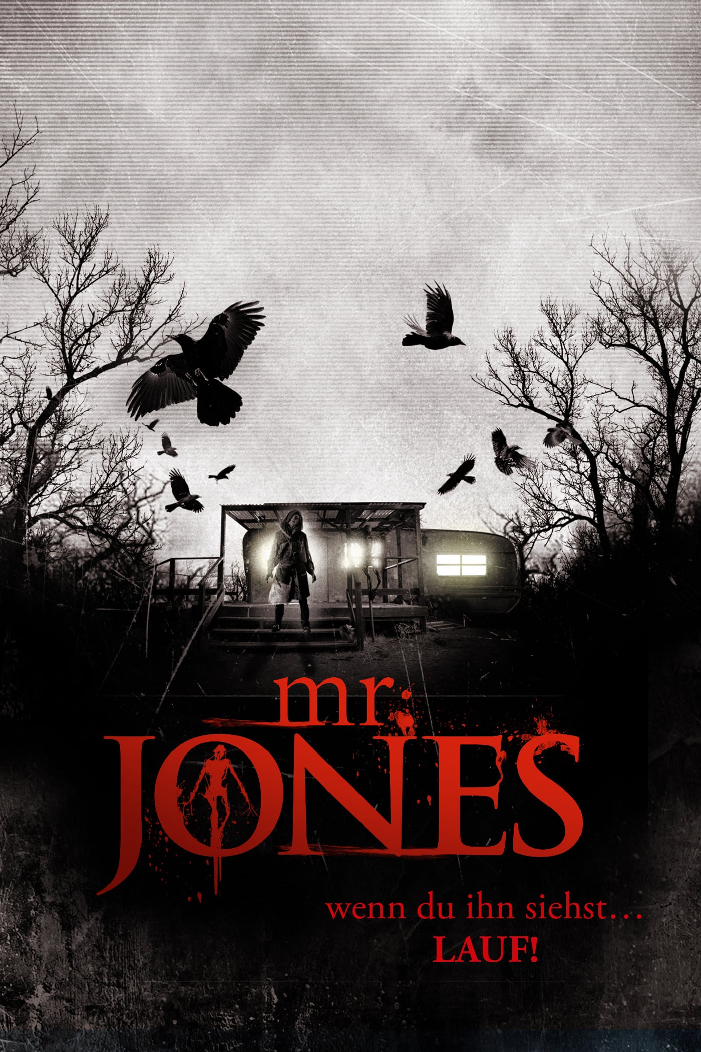 Plakat von "Mr. Jones"