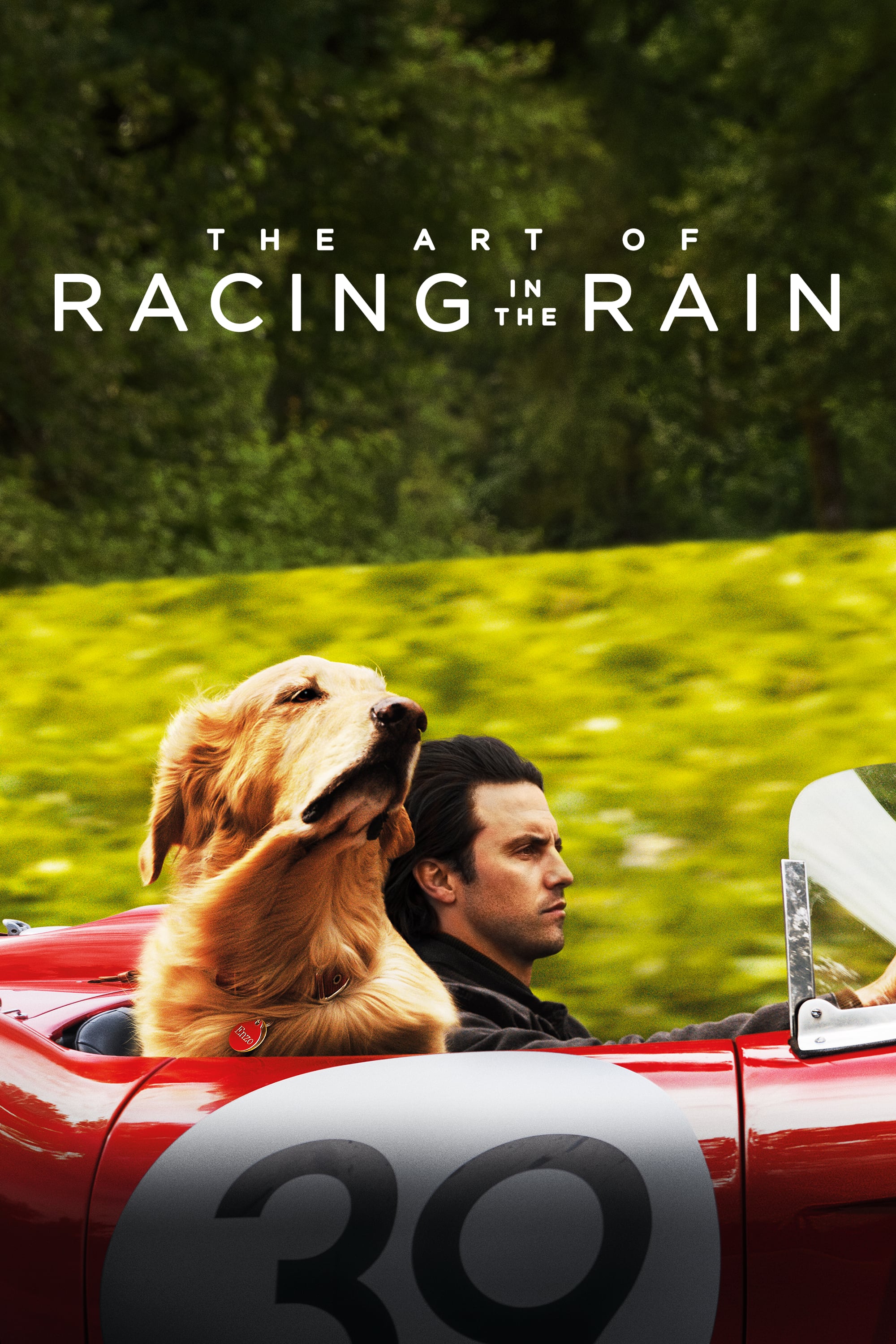 Plakat von "The Art of Racing in the Rain"