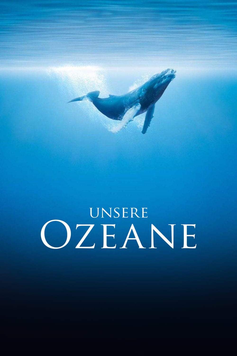 Plakat von "Unsere Ozeane"
