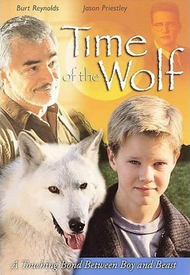 Plakat von "Aaron und der Wolf"