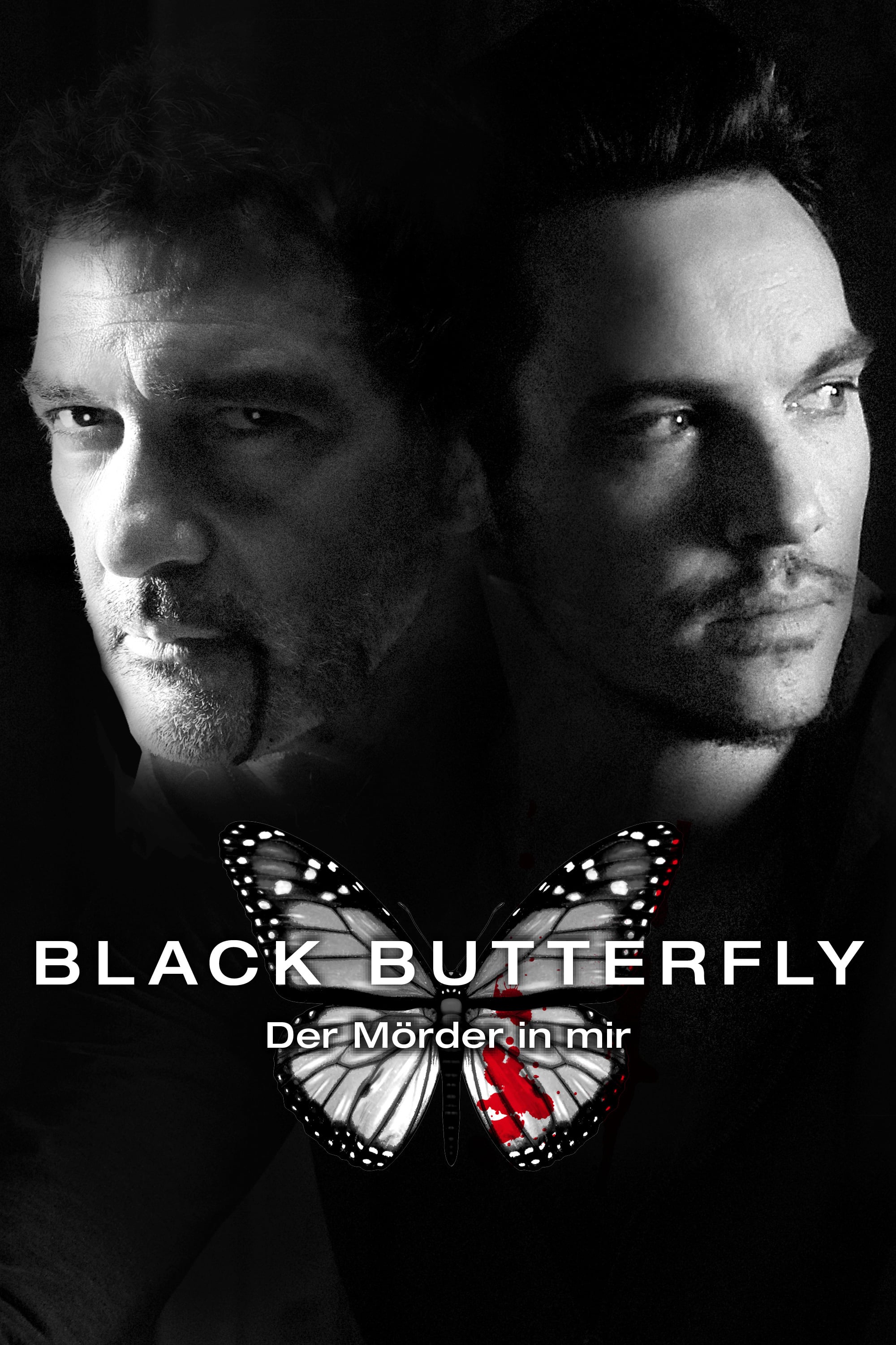 Plakat von "Black Butterfly"