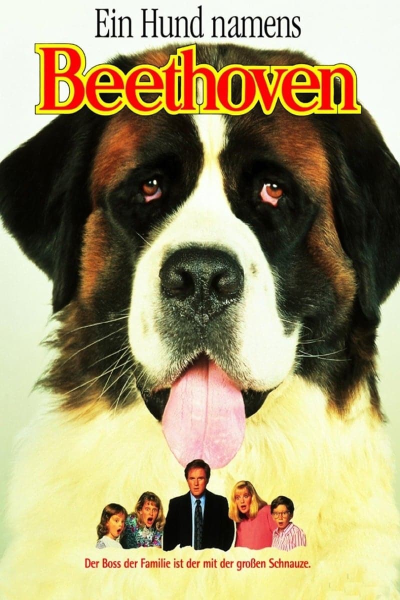 Plakat von "Ein Hund namens Beethoven"
