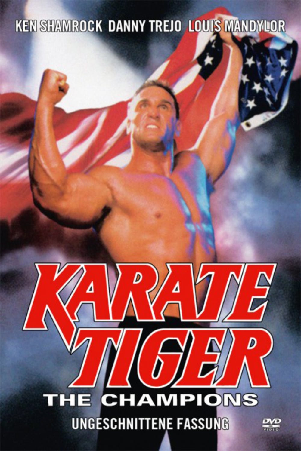 Plakat von "Karate Tiger – The Champions"