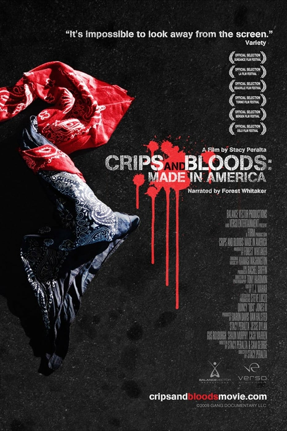 Plakat von "Crips and Bloods"