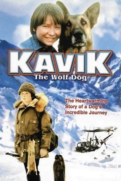 Plakat von "Kavik, der Schlittenhund"