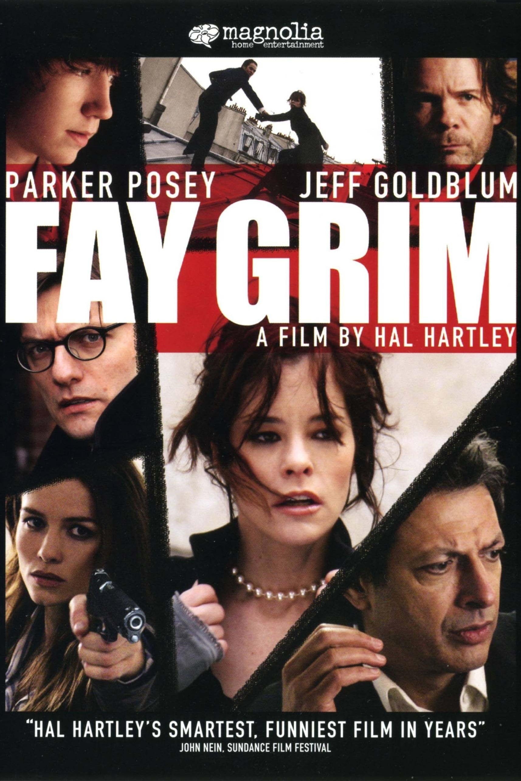 Plakat von "Fay Grim"
