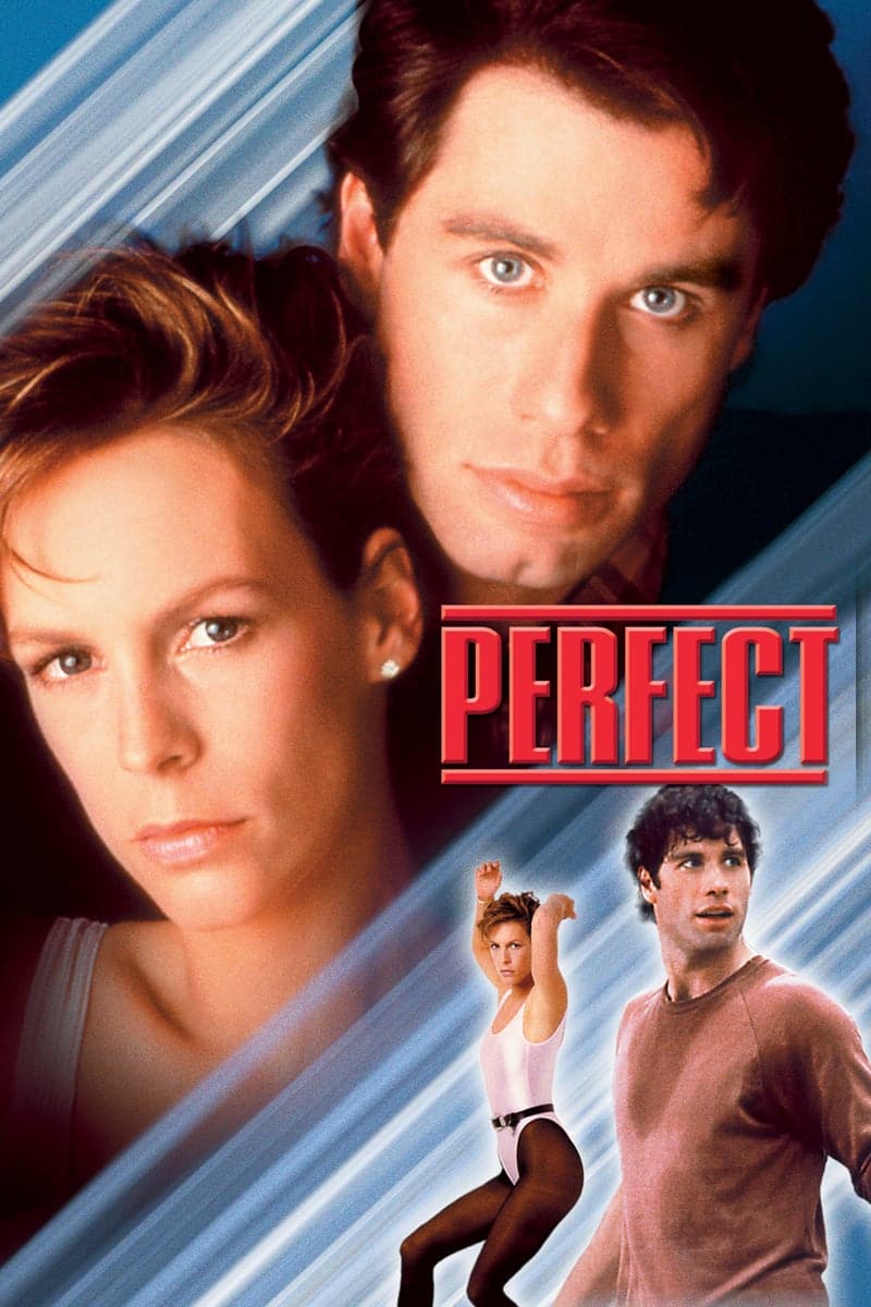 Plakat von "Perfect"