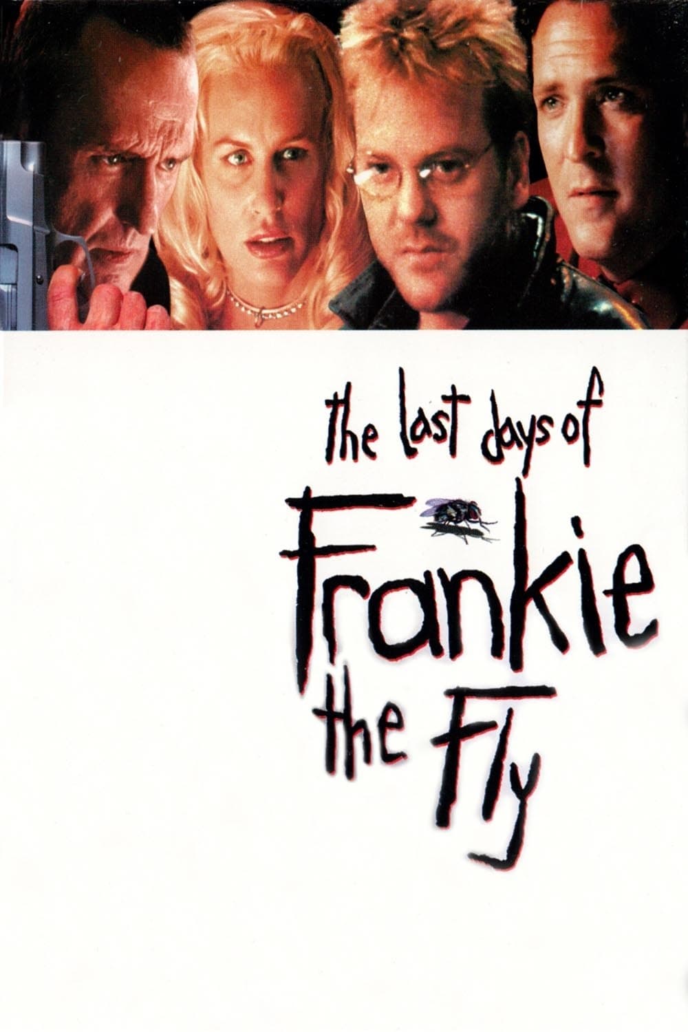 Plakat von "Frankie the Fly"