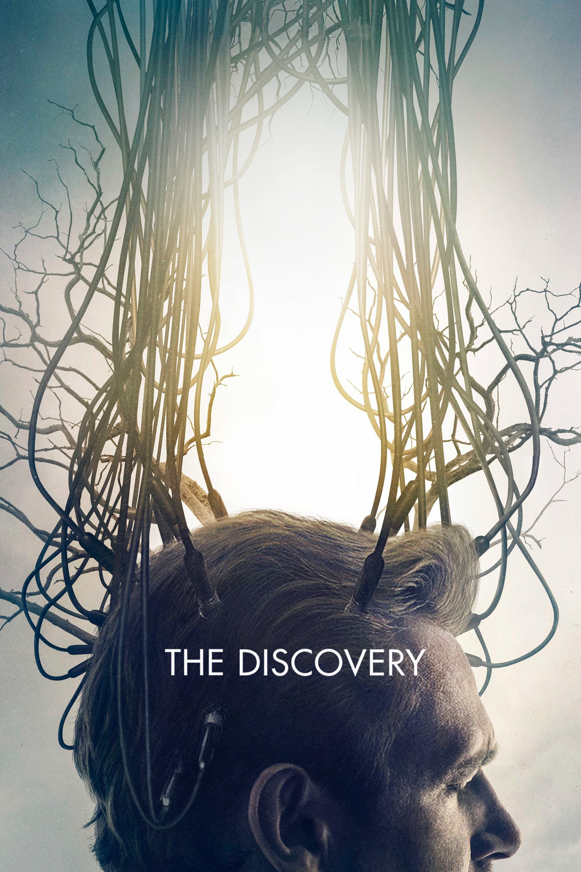 Plakat von "The Discovery"