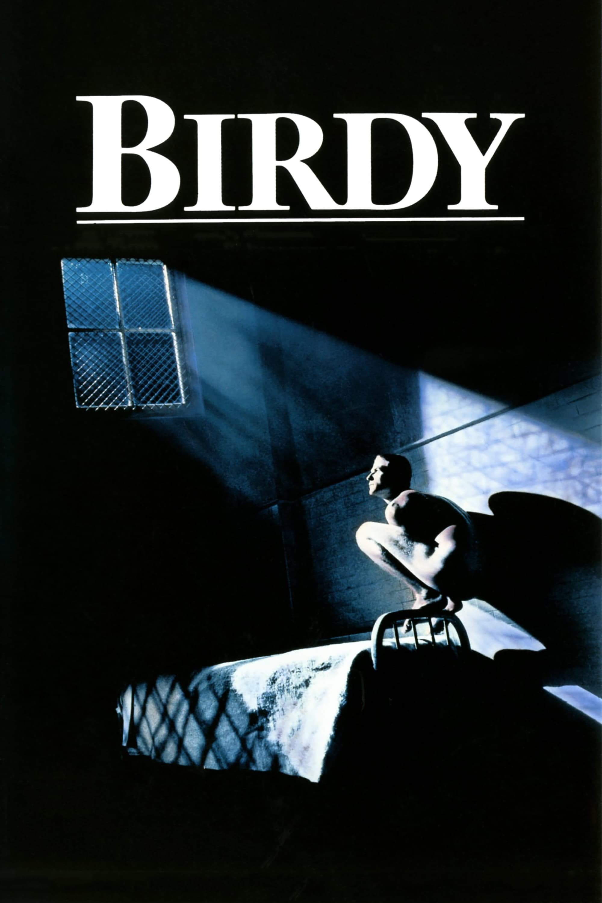 Plakat von "Birdy"