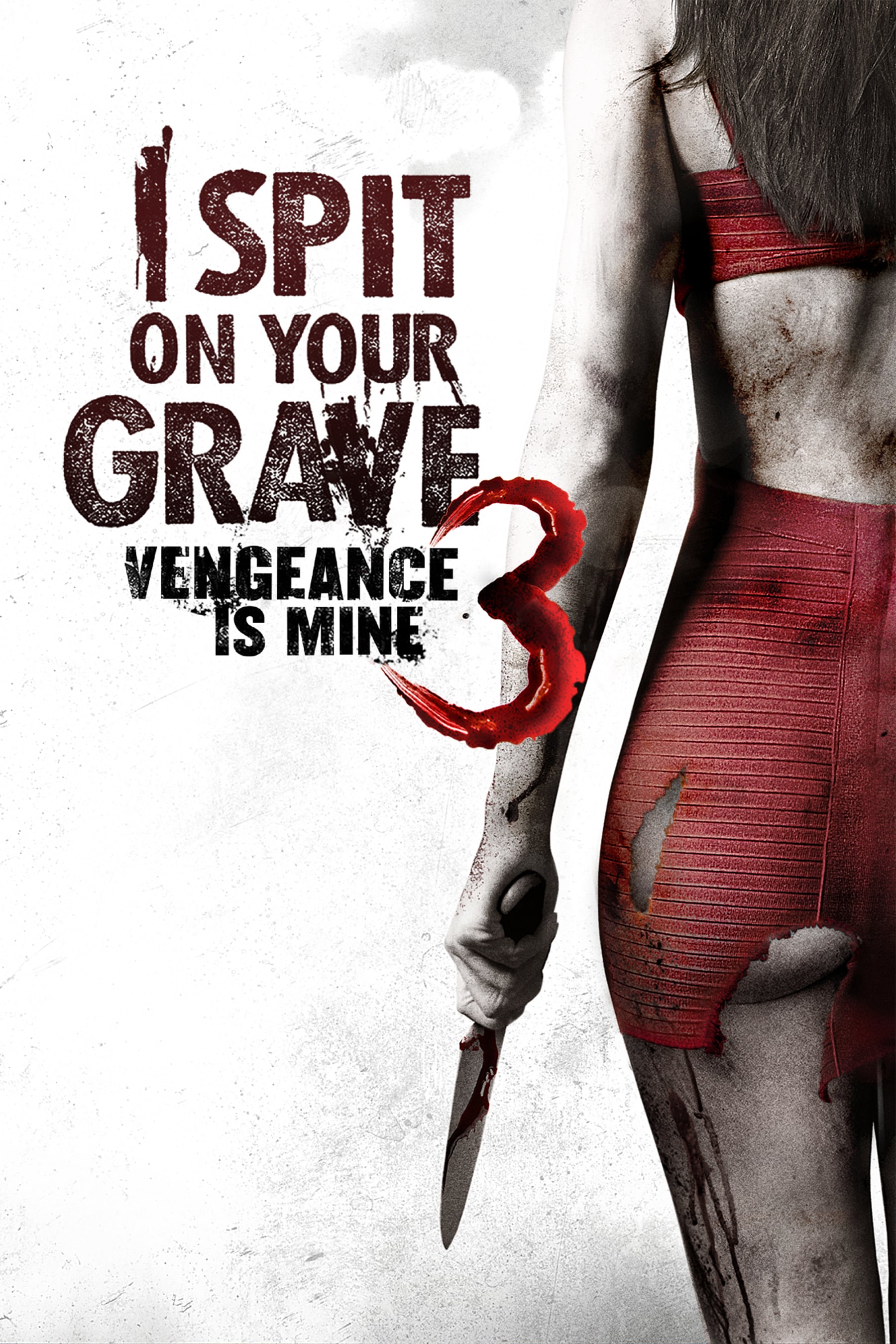Plakat von "I Spit on Your Grave 3"