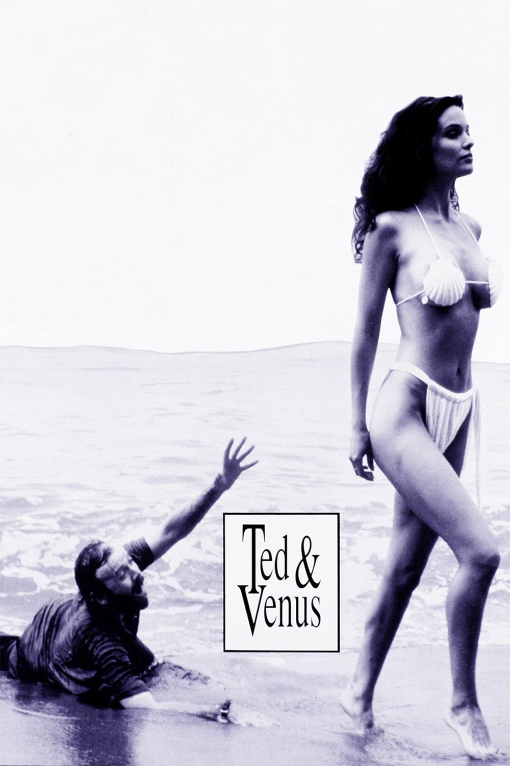Plakat von "Ted & Venus"
