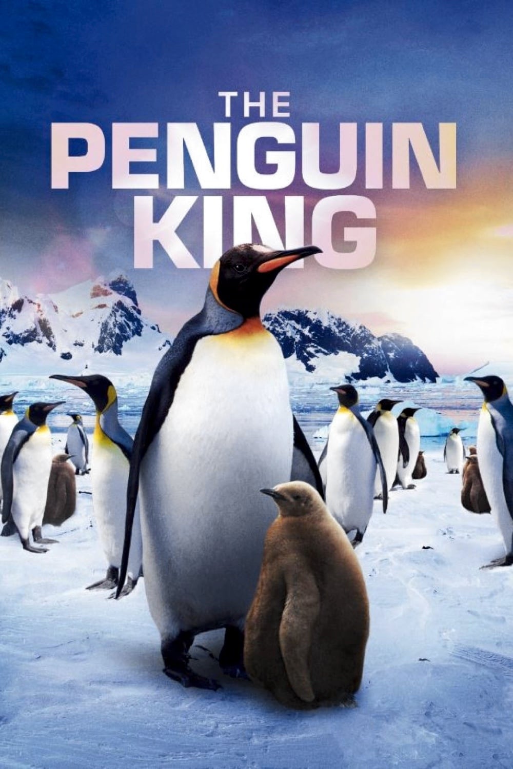 Plakat von "Ein Pinguin kommt selten allein"