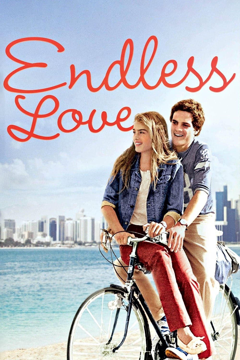 Plakat von "Endlose Liebe"